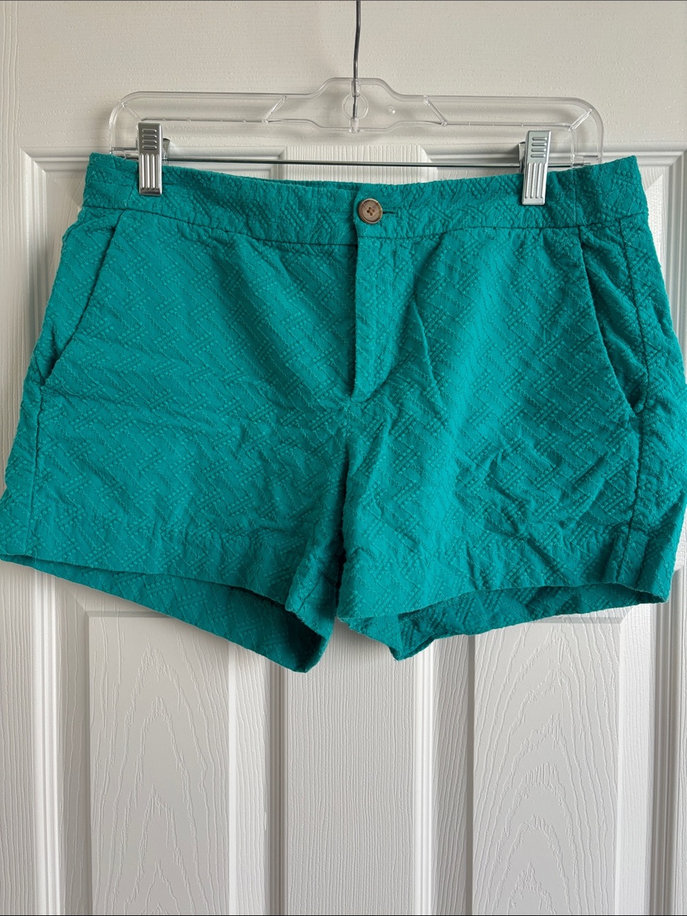 Banana Republic Teal Textured Shorts